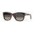 Persol PO 3372S 122371 Güneş Gözlüğü, Ekartman: 53