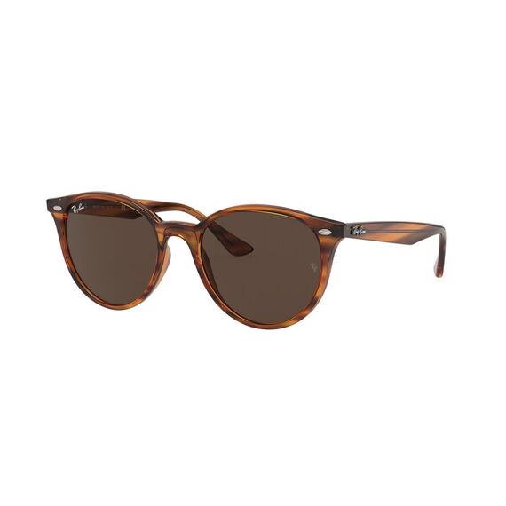 Ray-Ban RB 4305 820/73 Güneş Gözlüğü