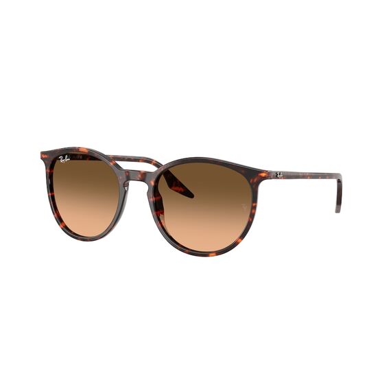 Ray-Ban RB 2204 14293B Güneş Gözlüğü, Ekartman: 51