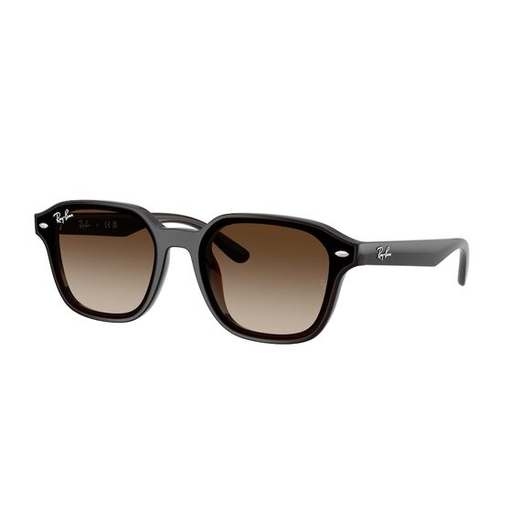 Ray-Ban RB 4458D 714/13 Güneş Gözlüğü